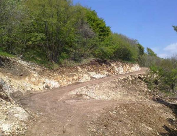 Strade montane e tagliafuoco