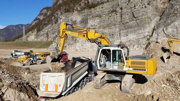 Escavatore LIEBHERR L 924